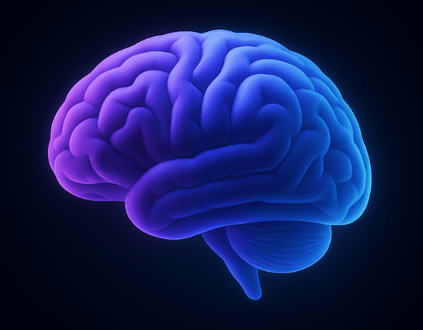 brain_section.brain_alt
